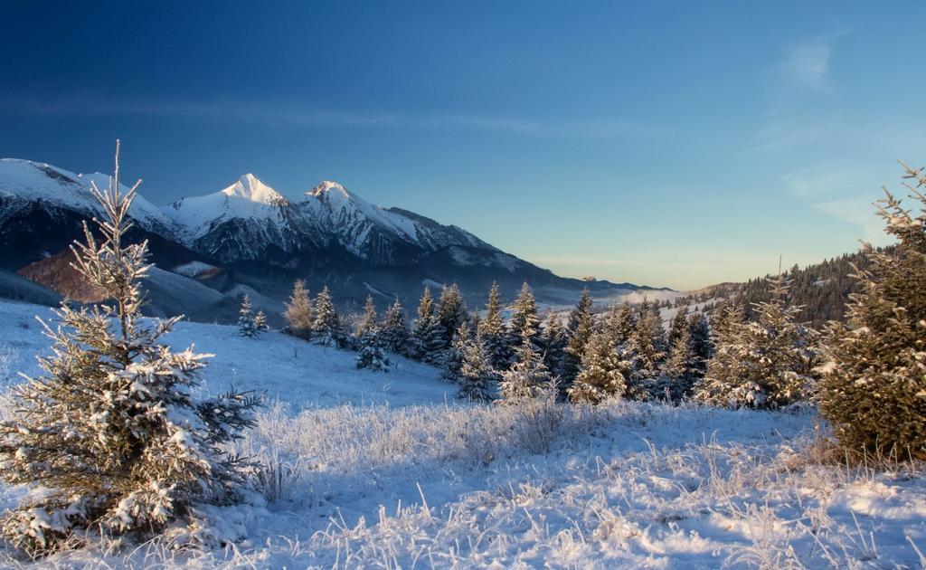 Chata Filipsky Ždiar Exteriér fotografie